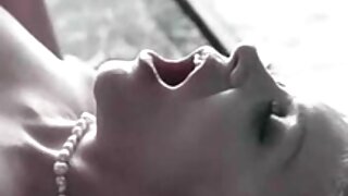 میں نے آخر کار اپنی  ...